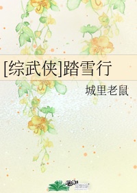 综武侠踏雪行txt