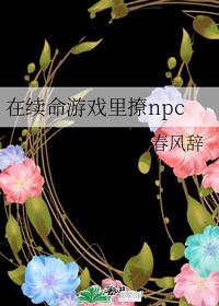 在续命游戏里撩npc池念