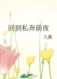 《回到私奔前夜》 作者:九紫