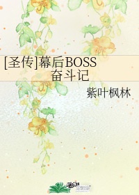 [圣传]幕后BOSS奋斗记