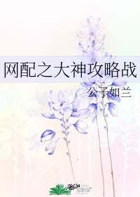 网配之大神攻略战公子如兰