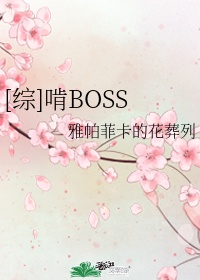 综啃boss百度网盘