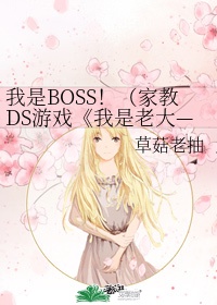 我是boss!~fine~[家教khr